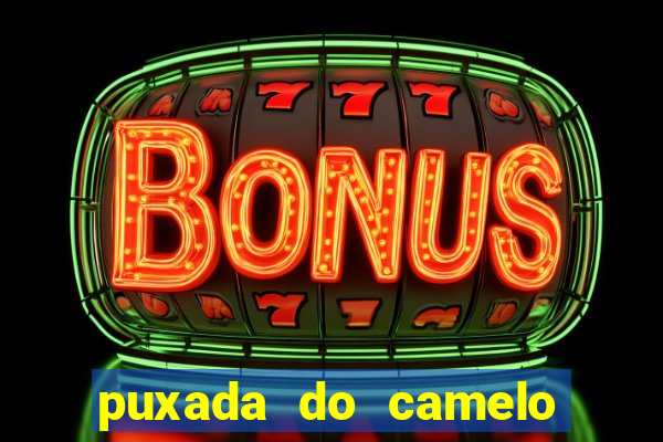 puxada do camelo jogo do bicho